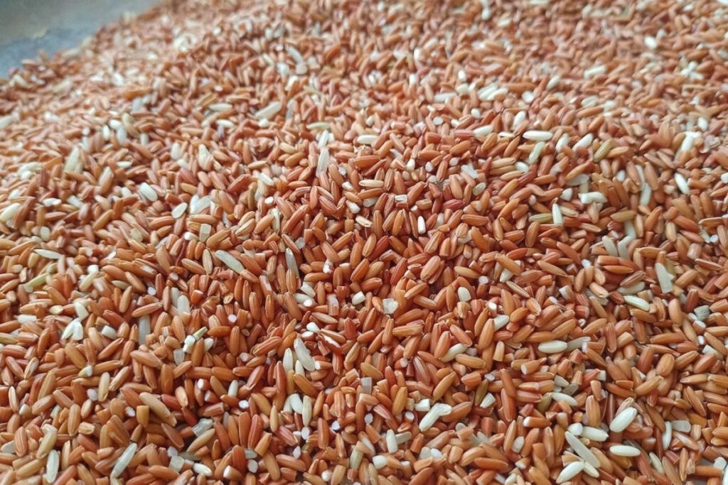 Khao Bao Yod Muang Product